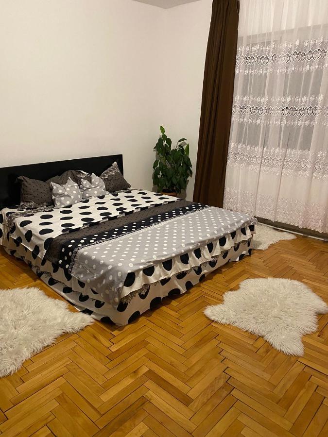 Casa Nelia Apartment Oradea Exterior photo